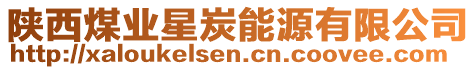 陜西煤業(yè)星炭能源有限公司