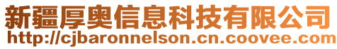 新疆厚奧信息科技有限公司