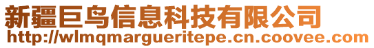 新疆巨鳥信息科技有限公司