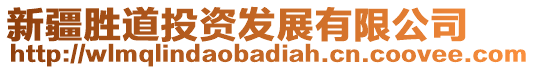 新疆勝道投資發(fā)展有限公司