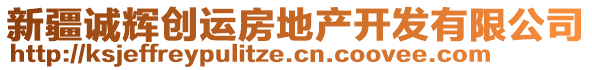 新疆誠輝創(chuàng)運房地產(chǎn)開發(fā)有限公司