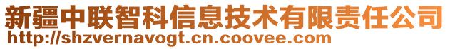 新疆中聯(lián)智科信息技術(shù)有限責(zé)任公司