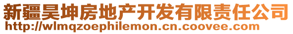 新疆昊坤房地產(chǎn)開發(fā)有限責任公司