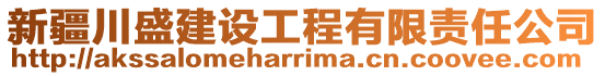 新疆川盛建設(shè)工程有限責任公司