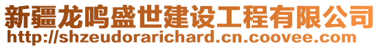 新疆龍鳴盛世建設工程有限公司