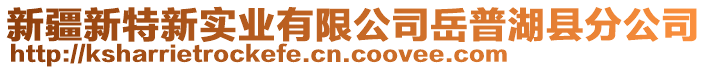新疆新特新實業(yè)有限公司岳普湖縣分公司