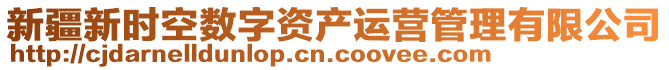 新疆新時空數(shù)字資產運營管理有限公司