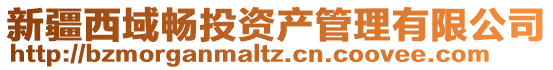 新疆西域暢投資產管理有限公司