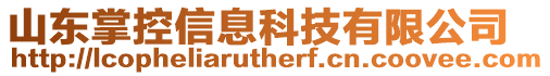 山東掌控信息科技有限公司