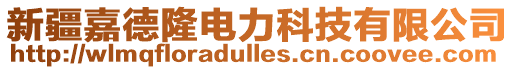 新疆嘉德隆電力科技有限公司