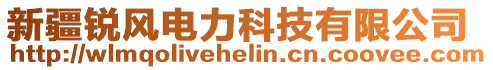 新疆銳風(fēng)電力科技有限公司