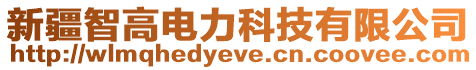 新疆智高電力科技有限公司