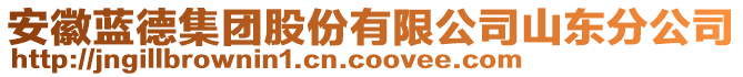 安徽藍(lán)德集團(tuán)股份有限公司山東分公司