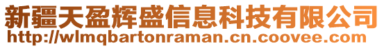 新疆天盈輝盛信息科技有限公司