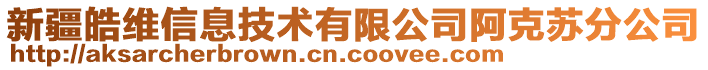 新疆皓維信息技術有限公司阿克蘇分公司