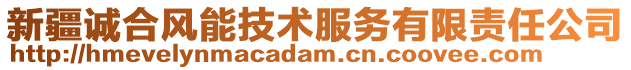 新疆誠合風能技術(shù)服務有限責任公司