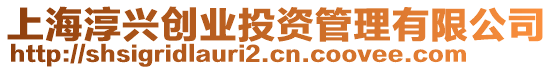 上海淳興創(chuàng)業(yè)投資管理有限公司