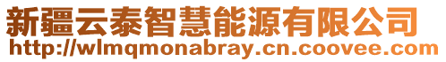 新疆云泰智慧能源有限公司