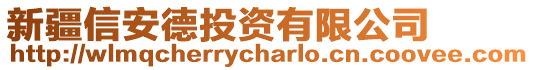 新疆信安德投資有限公司