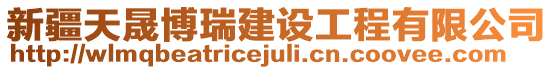 新疆天晟博瑞建設工程有限公司