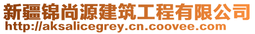 新疆錦尚源建筑工程有限公司