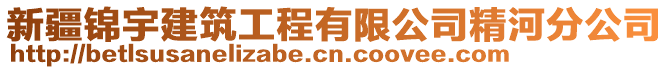 新疆錦宇建筑工程有限公司精河分公司