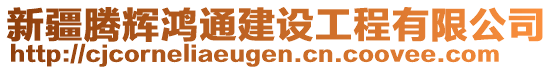 新疆騰輝鴻通建設工程有限公司