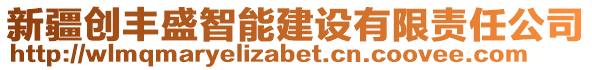 新疆創(chuàng)豐盛智能建設(shè)有限責(zé)任公司