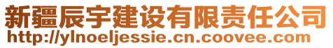 新疆辰宇建設(shè)有限責(zé)任公司