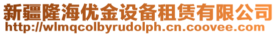 新疆隆海優(yōu)金設備租賃有限公司