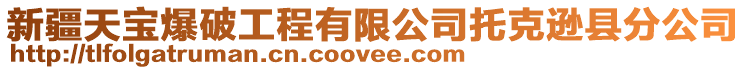 新疆天寶爆破工程有限公司托克遜縣分公司