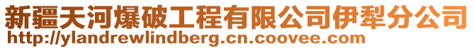 新疆天河爆破工程有限公司伊犁分公司