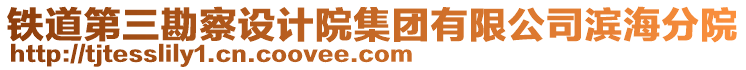 鐵道第三勘察設(shè)計院集團有限公司濱海分院