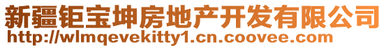 新疆钜宝坤房地产开发有限公司