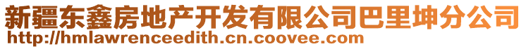 新疆東鑫房地產(chǎn)開發(fā)有限公司巴里坤分公司