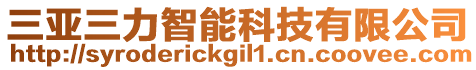 三亞三力智能科技有限公司