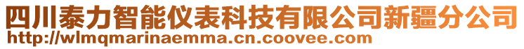 四川泰力智能儀表科技有限公司新疆分公司