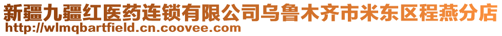 新疆九疆紅醫(yī)藥連鎖有限公司烏魯木齊市米東區(qū)程燕分店