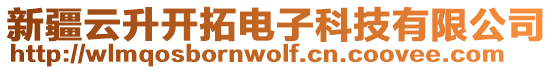 新疆云升開拓電子科技有限公司