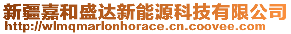 新疆嘉和盛達新能源科技有限公司