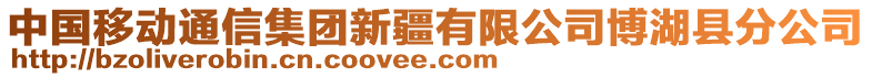 中國移動通信集團新疆有限公司博湖縣分公司