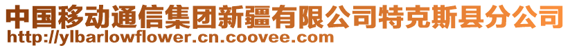 中國移動通信集團新疆有限公司特克斯縣分公司