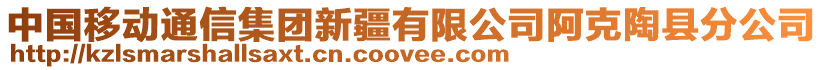 中國移動通信集團新疆有限公司阿克陶縣分公司