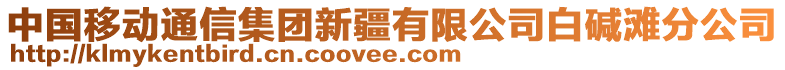 中國(guó)移動(dòng)通信集團(tuán)新疆有限公司白堿灘分公司