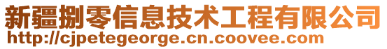 新疆捌零信息技術(shù)工程有限公司