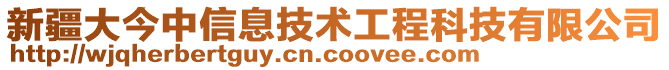 新疆大今中信息技術(shù)工程科技有限公司