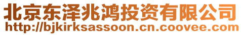 北京東澤兆鴻投資有限公司