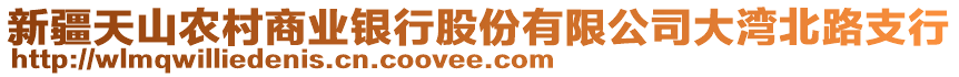 新疆天山農(nóng)村商業(yè)銀行股份有限公司大灣北路支行