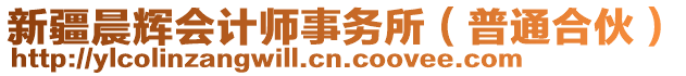 新疆晨輝會計師事務(wù)所（普通合伙）