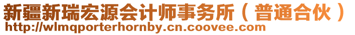 新疆新瑞宏源會計師事務所（普通合伙）